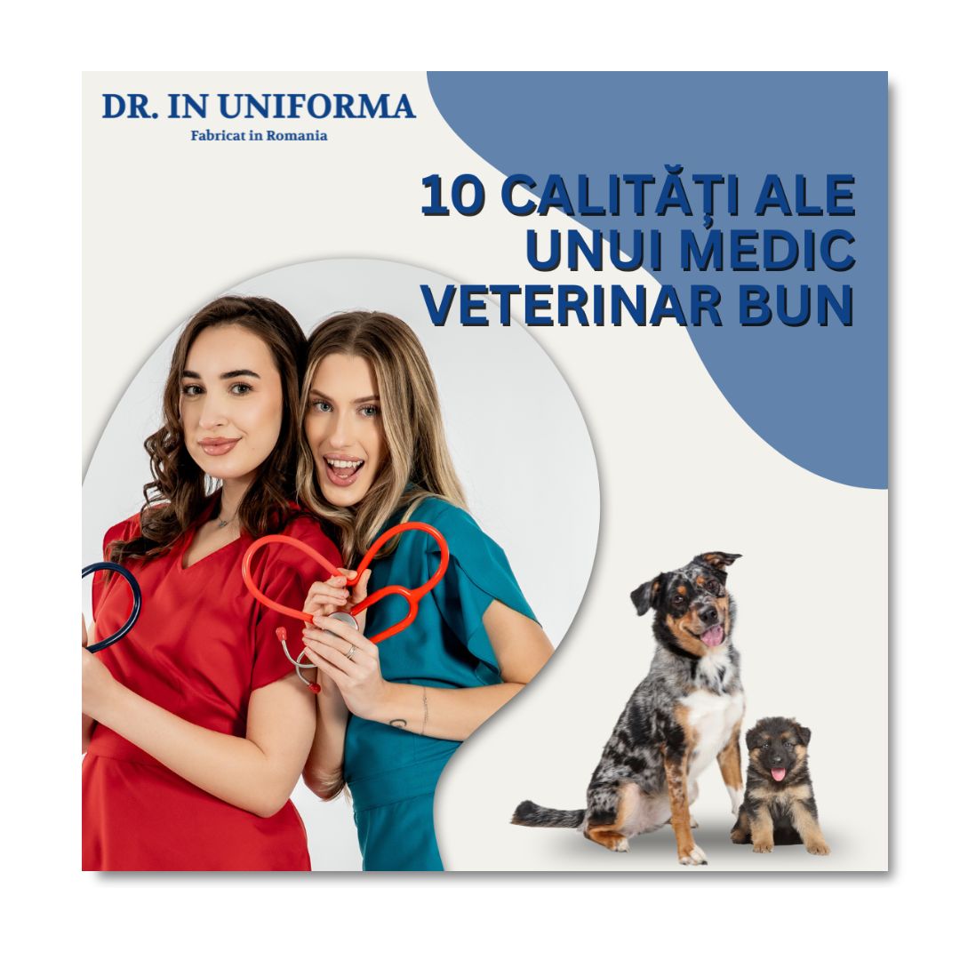 10 calități ale unui medic veterinar bun